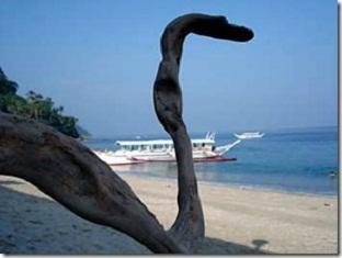 렘 버진 아일랜드 호텔 푸에르토갈레라 외부 사진